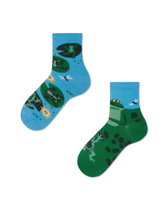 Froggy Frog Kids