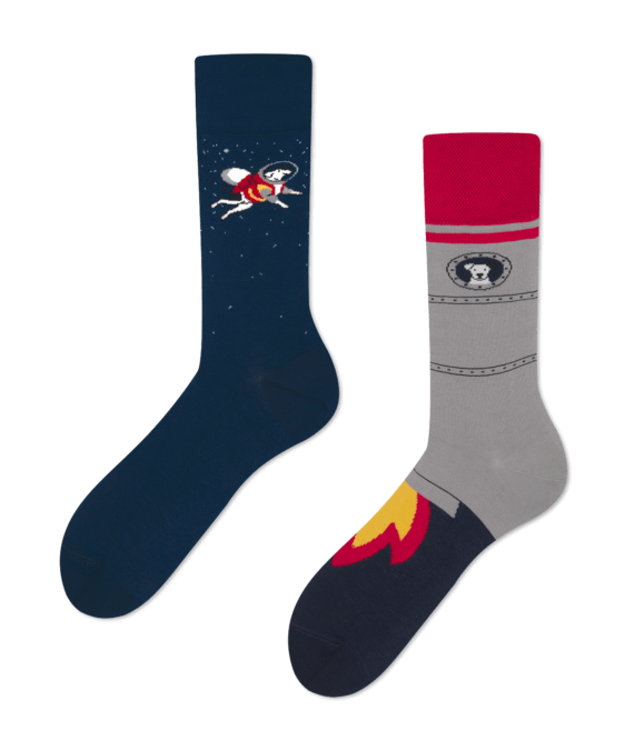 Space Dog